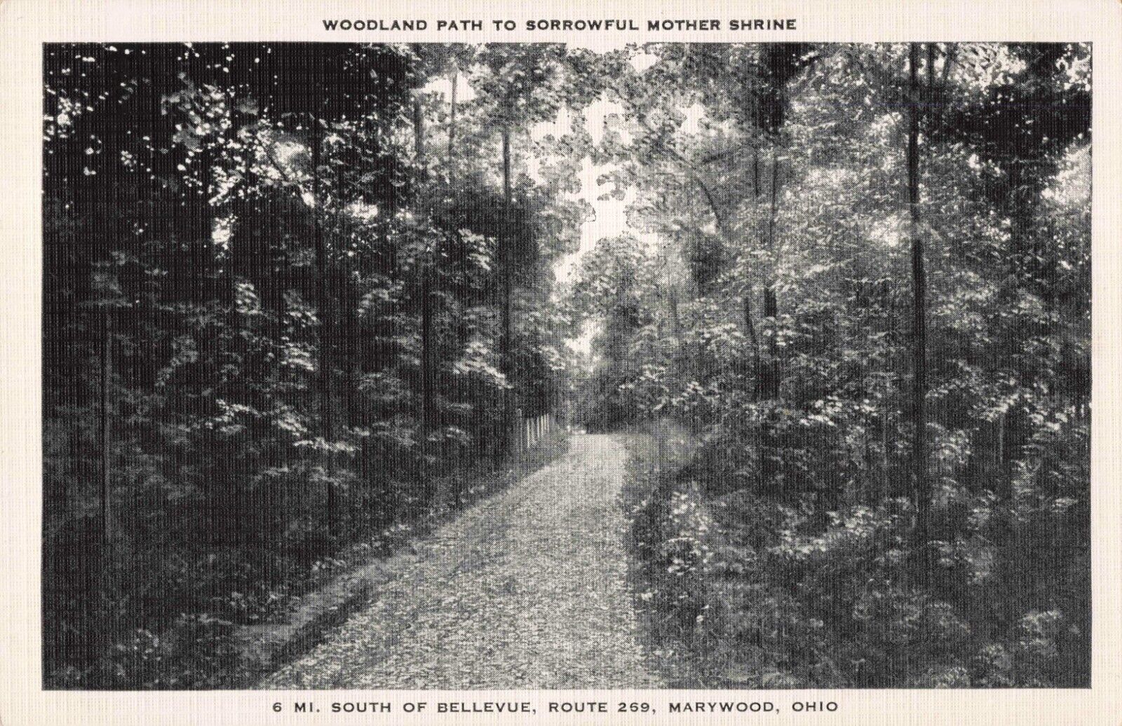 Woodland Path to Sorrowful Mother Shrine Bellevue Marywood Ohio OH c1940 PC