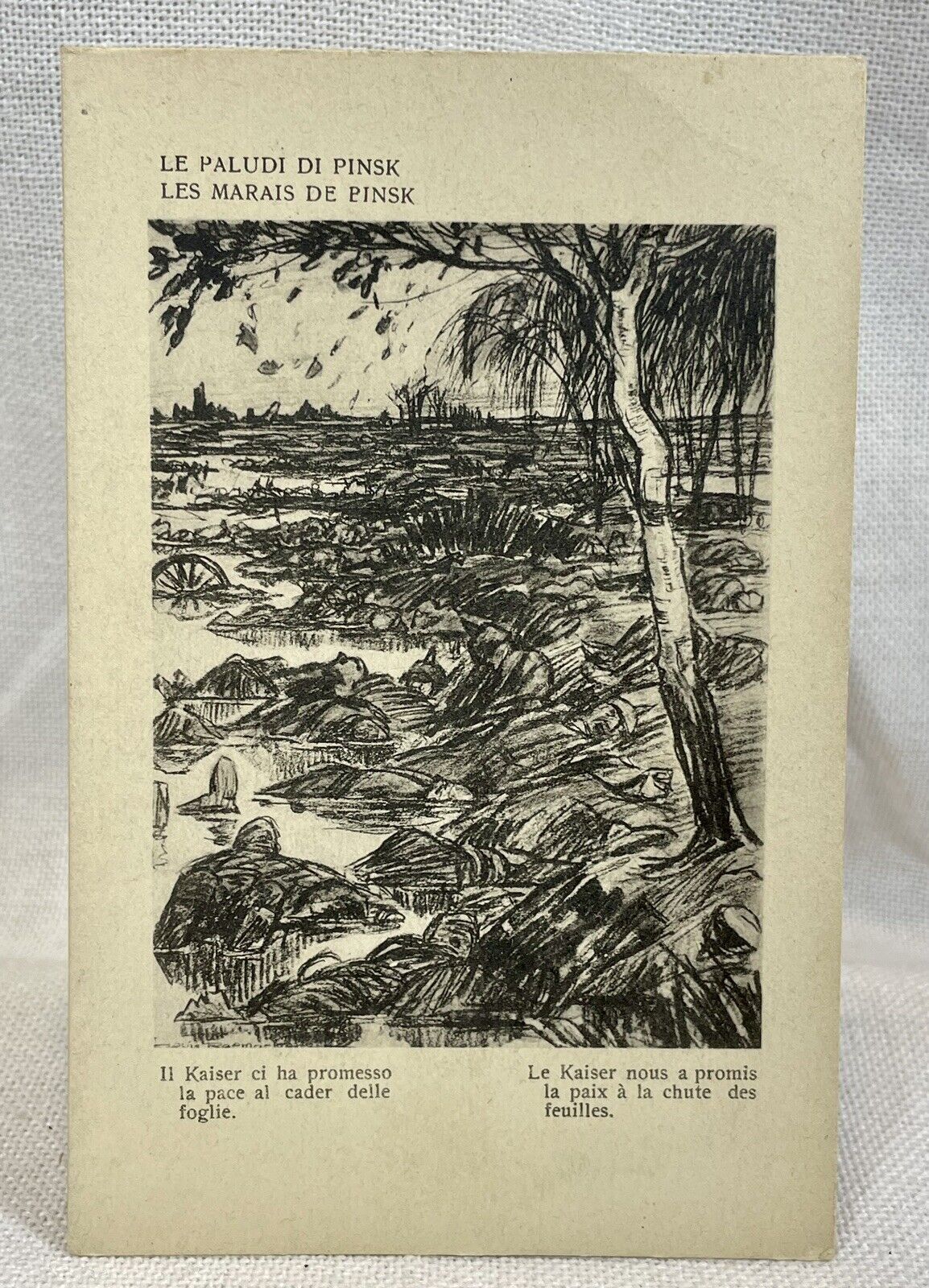 Satirical Italian Artist Louis Raemaekers World War 1 Propaganda Postcard 1917