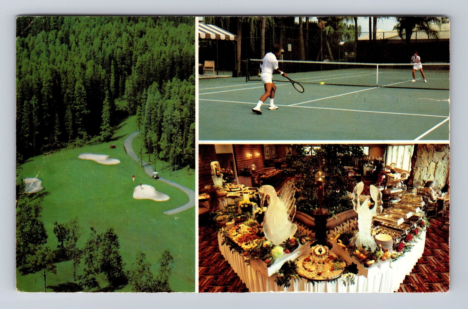 Wesley Chapel FL-Florida Saddlebrook Golf & Tennis Resort, Vintage Postcard