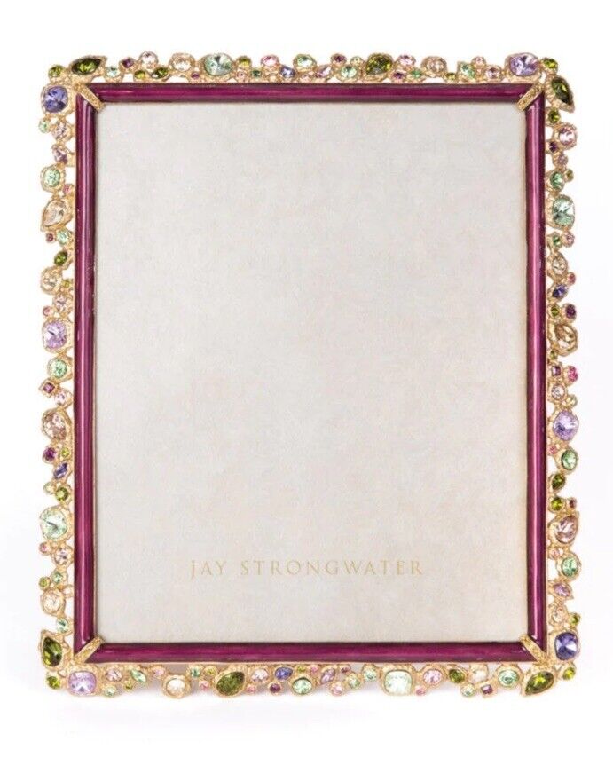 Jay Strongwater Theo Bejeweled 8” X 10” Frame - Brocade SPF5843-289
