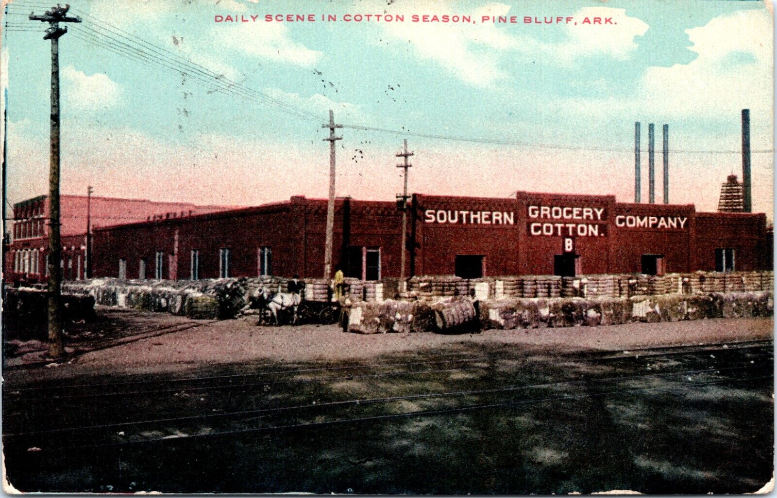 Postcard Daily Scene in Cotton Season Pine Bluff Arkansas