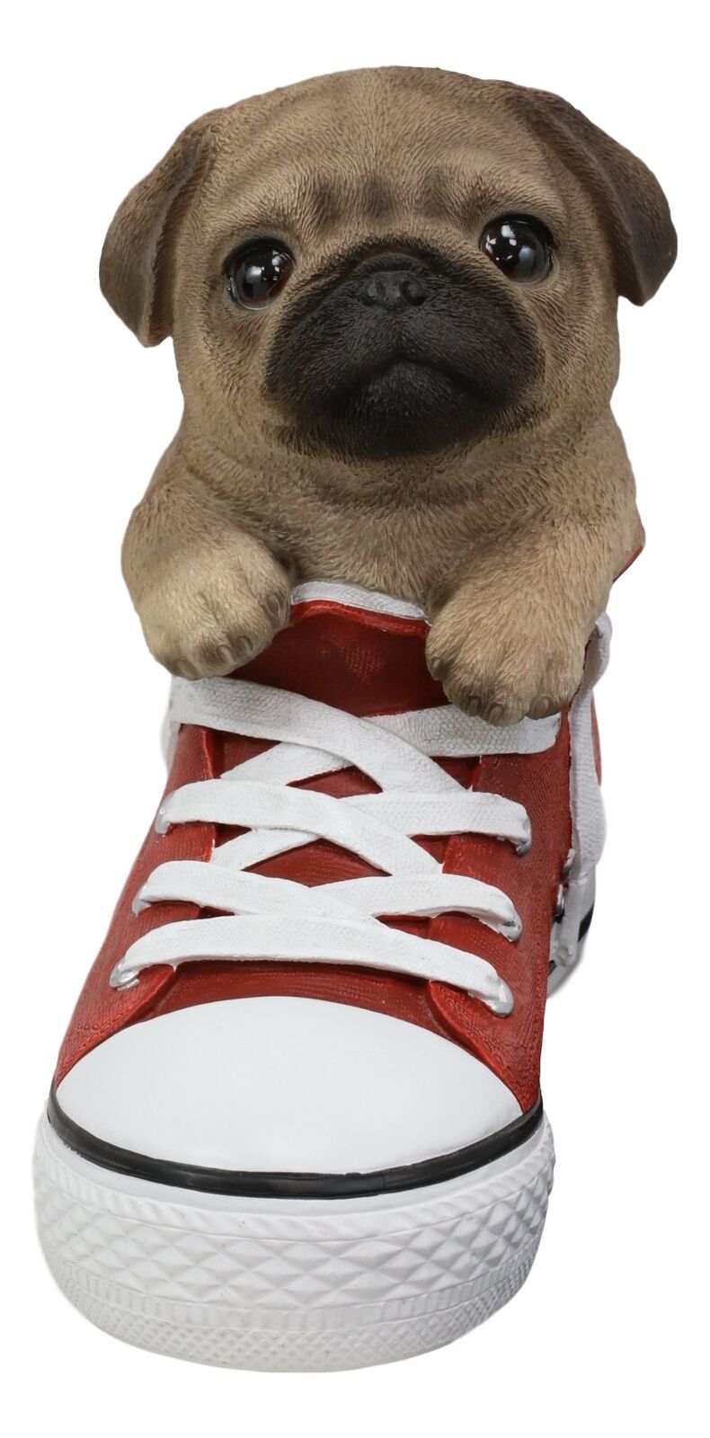 Paw-Star Pups Lifelike Pugsie Fawn Pug Puppy Dog in Sneaker Chucks Shoe Statue