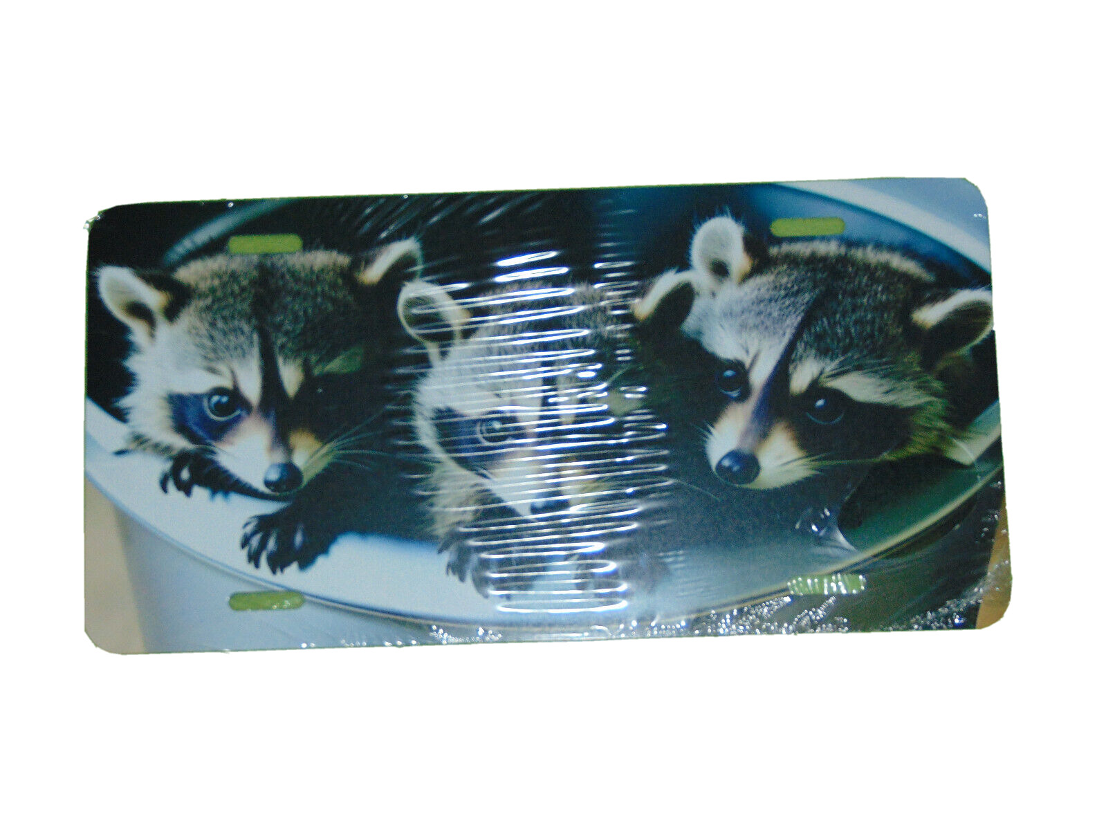Bucket Full Of Baby Raccoons License Plate 6 X 12 Inches Aluminum New
