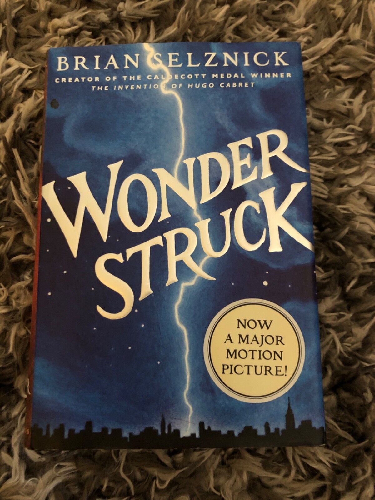 Wonder Struck by Brian Selznick, hardcover