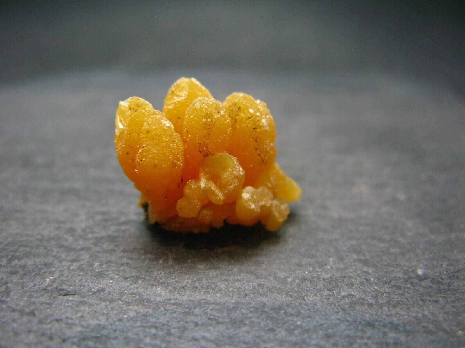 Nice Large Yellow Mimetite Cluster from Mexico - 0.8\