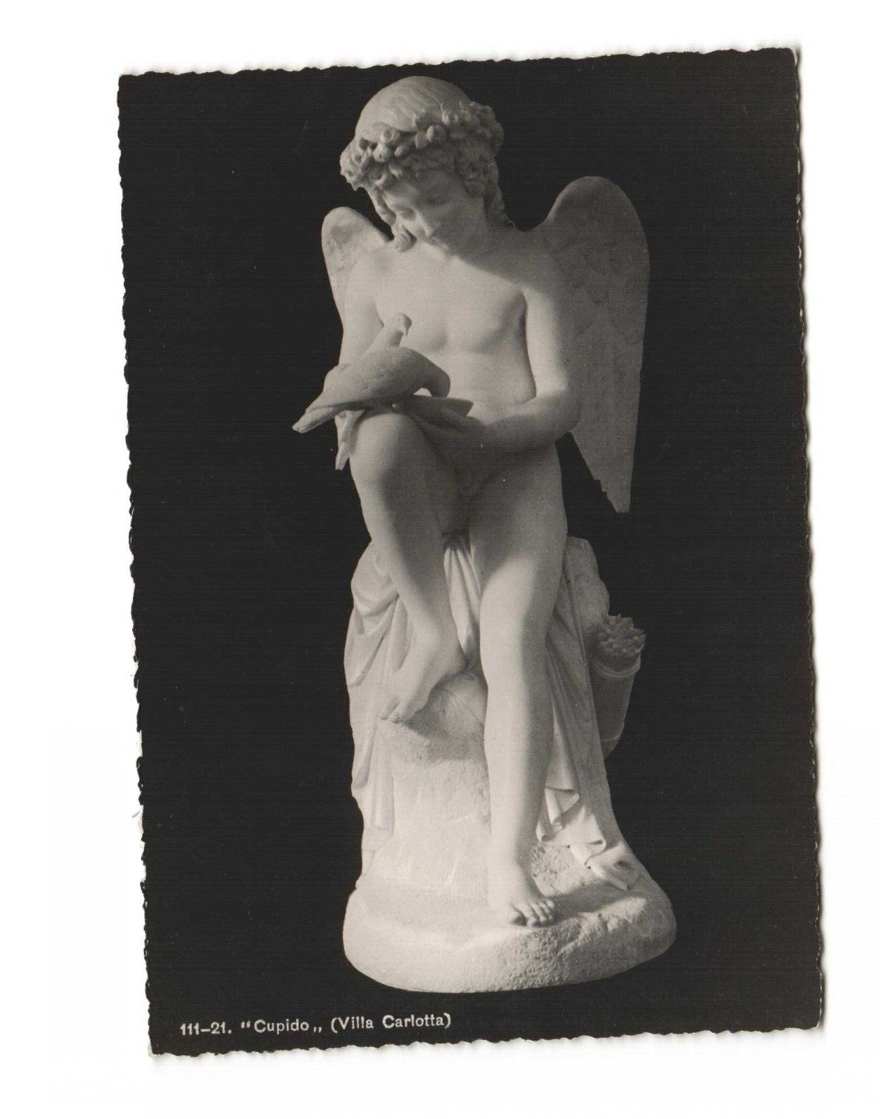 Cupido (Villa Carlotta) Cupid with Dove Vintage Postcard Unposted