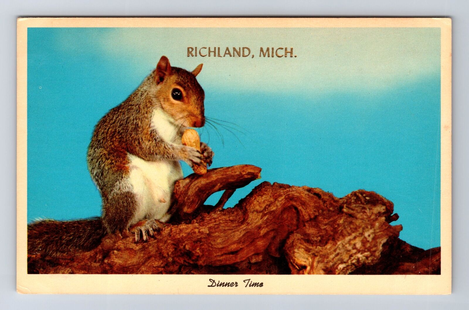 Richland MI-Michigan, Scenic Greetings, Squirrel Eating Nuts, Vintage Postcard