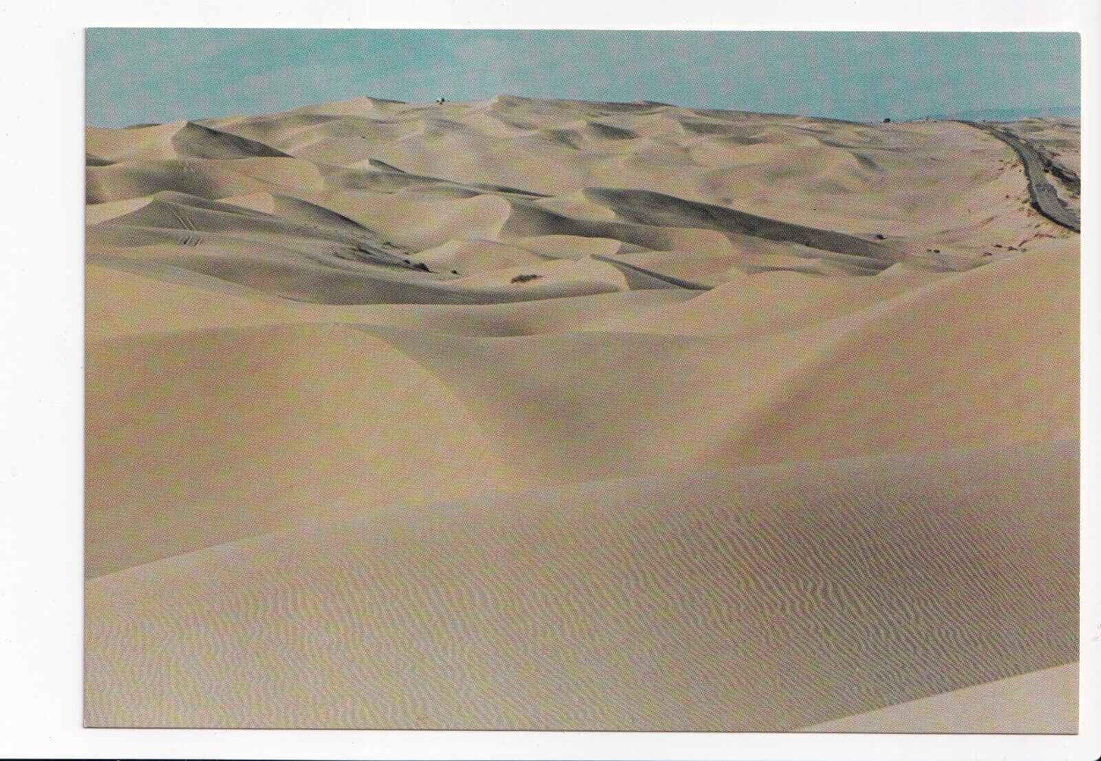 Vintage Postcard Continental The Algodones Dunes Niland California