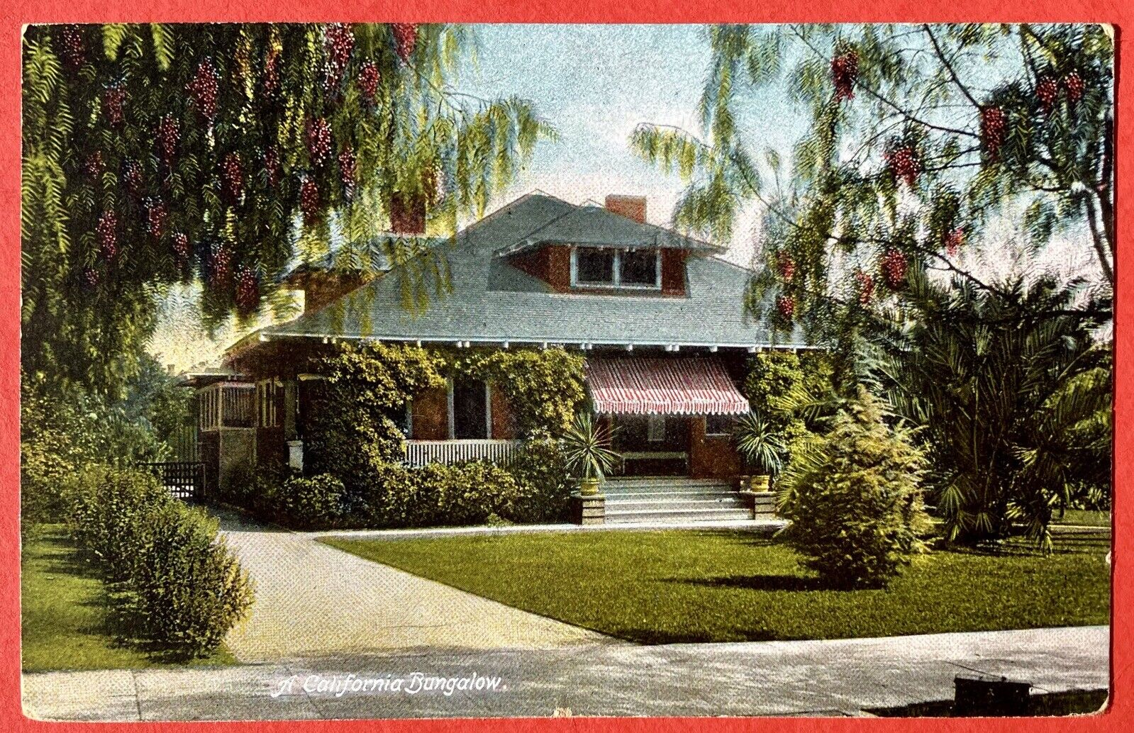 A CALIFORNIA BUNGALOW ~ PEPPER BERRY TREES ~ POSTCARD~ 1907-1914  