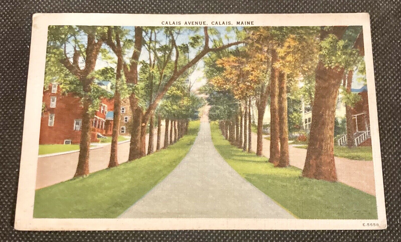 Calais, ME Vintage Linen Postcard Calais Avenue