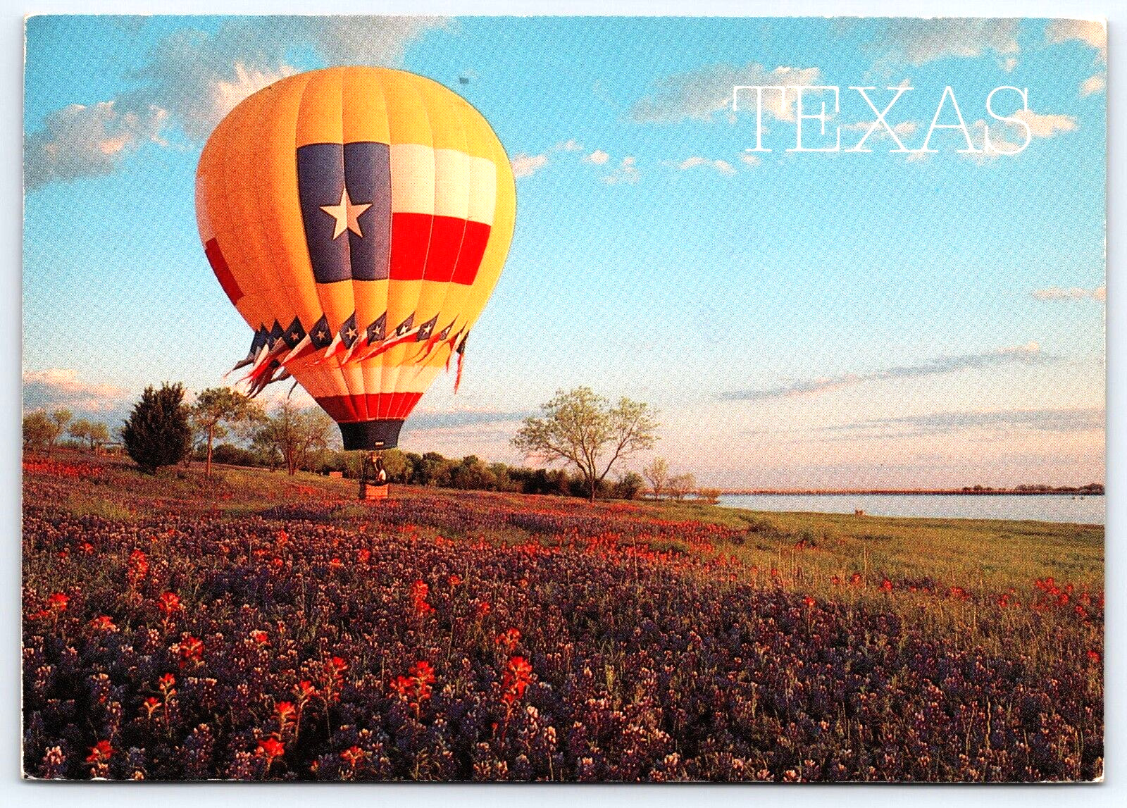 Postcard 6X4 Texas Flag Hot Air Balloon Landing in Field of Bluebonnets A12