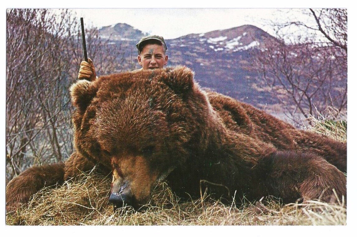 Kodiak Bear Hunting AK Postcard Alaska