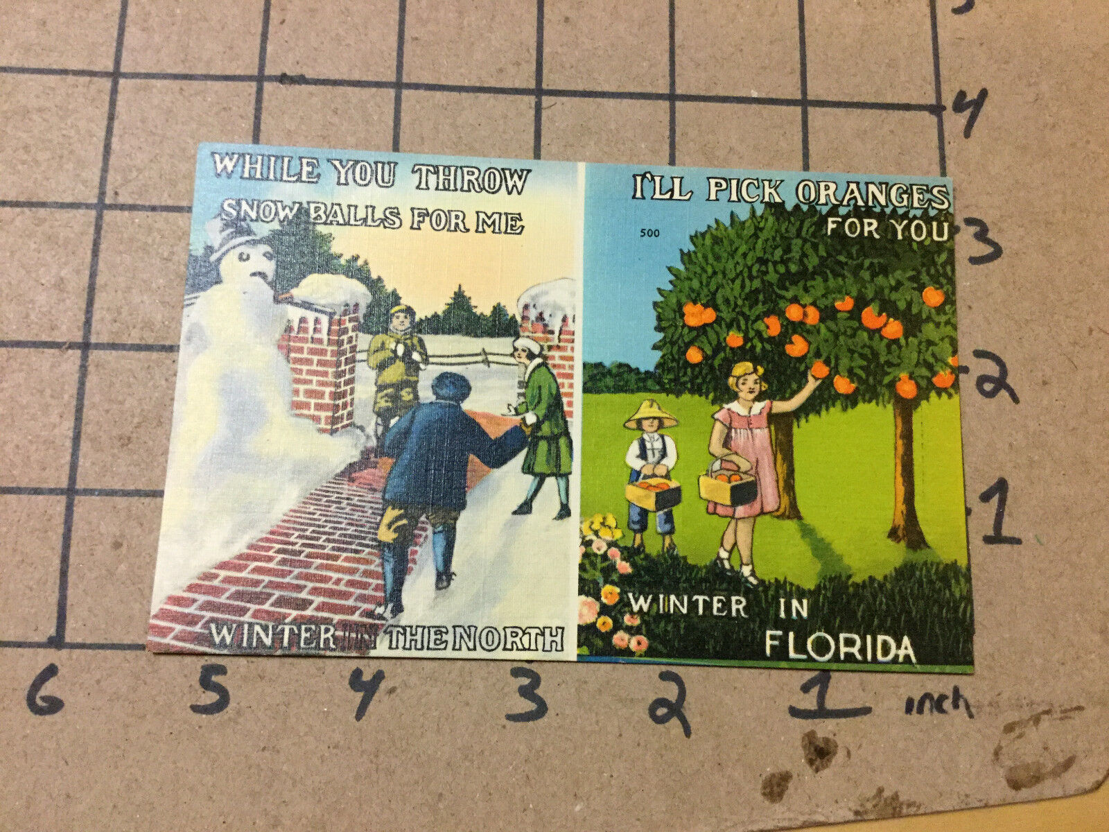 vintage Original post card - UNUSED- SNOWBALLS NORTH / ORANGES SOUTH