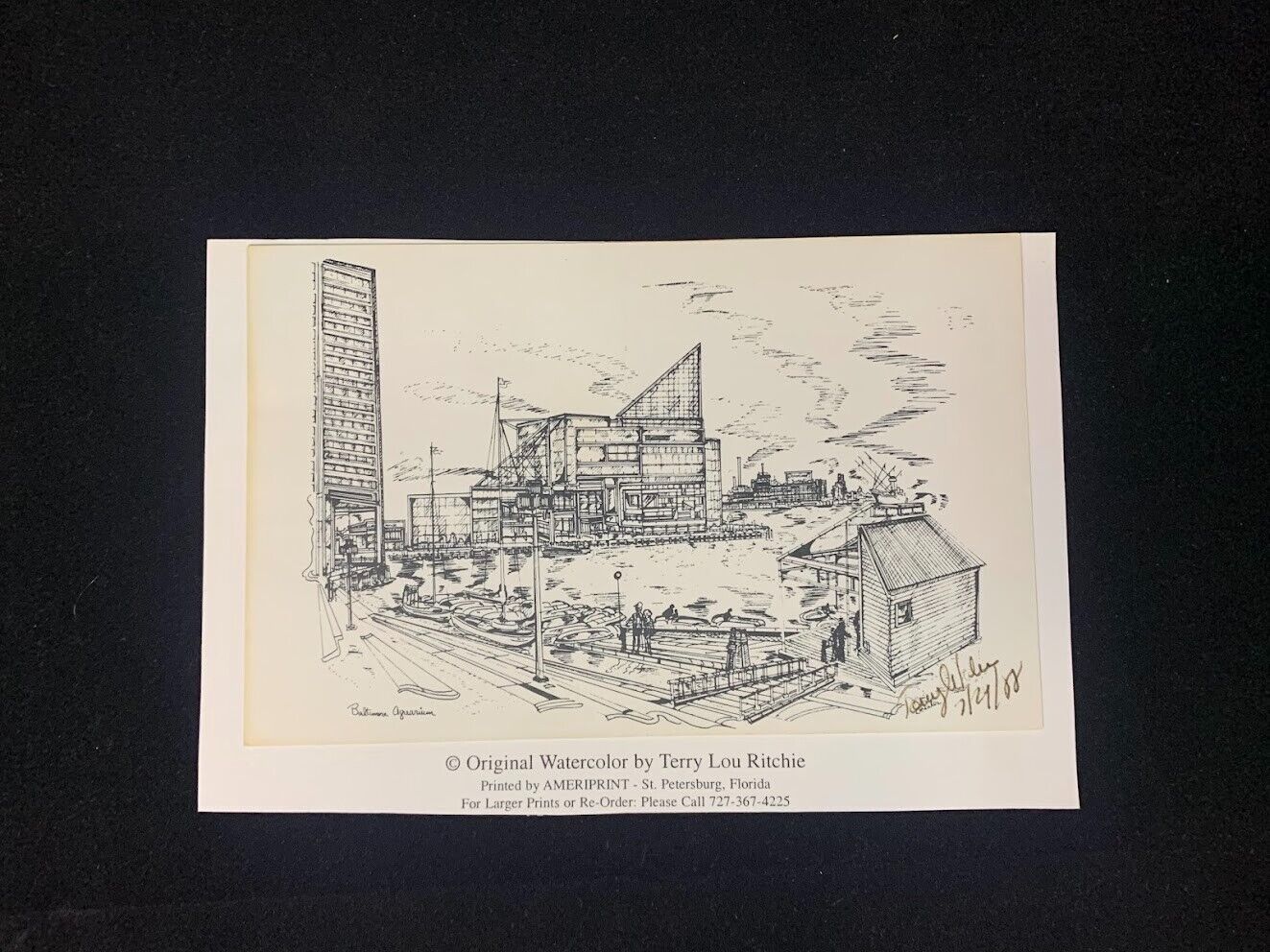 Baltimore Aquarium Vintage Post Card, Print of Original Watercolor by Terry Lou