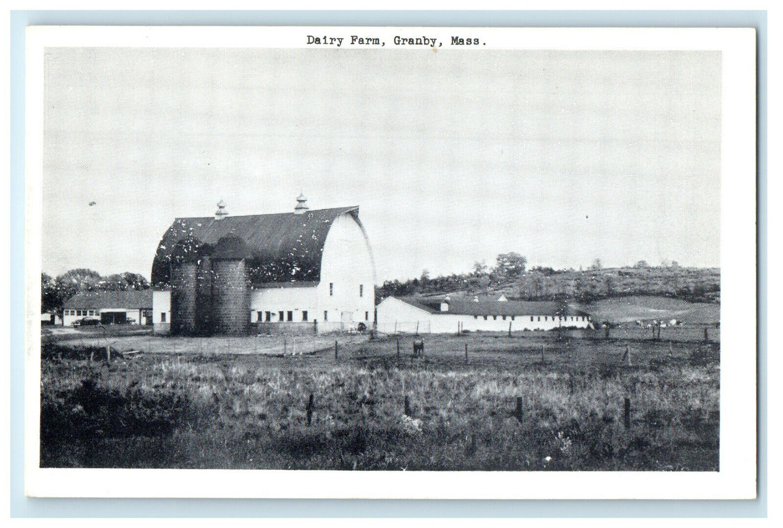 c1950s Dairy Farm, Granby, Massachusetts MA Unposted Vintage Postcard