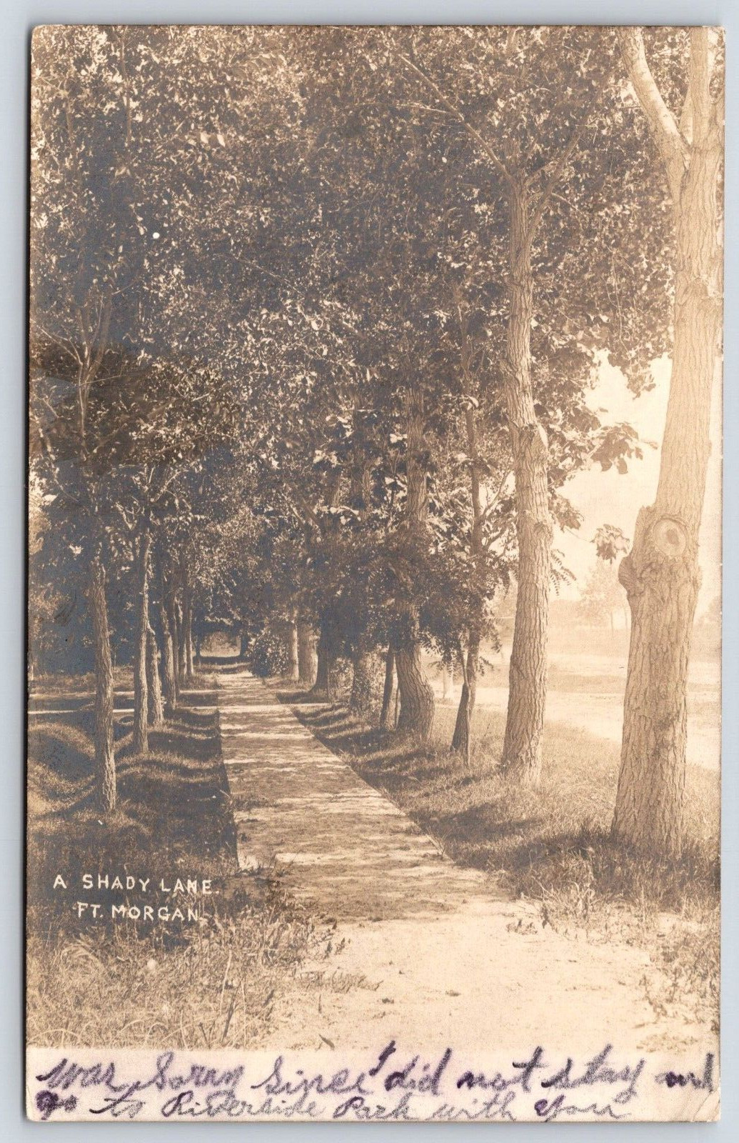 Colorado Ft Morgan A Shady Lane Vintage Postcard POSTED