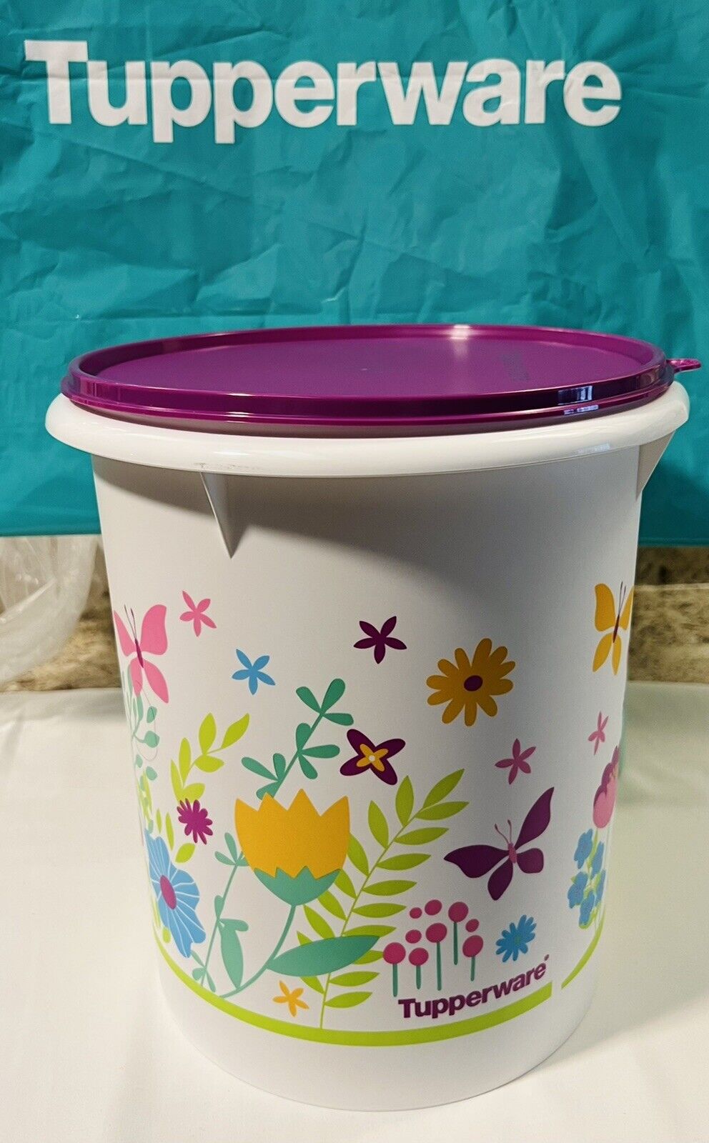 Tupperware Giant Canister Model 255G-2 With Handle