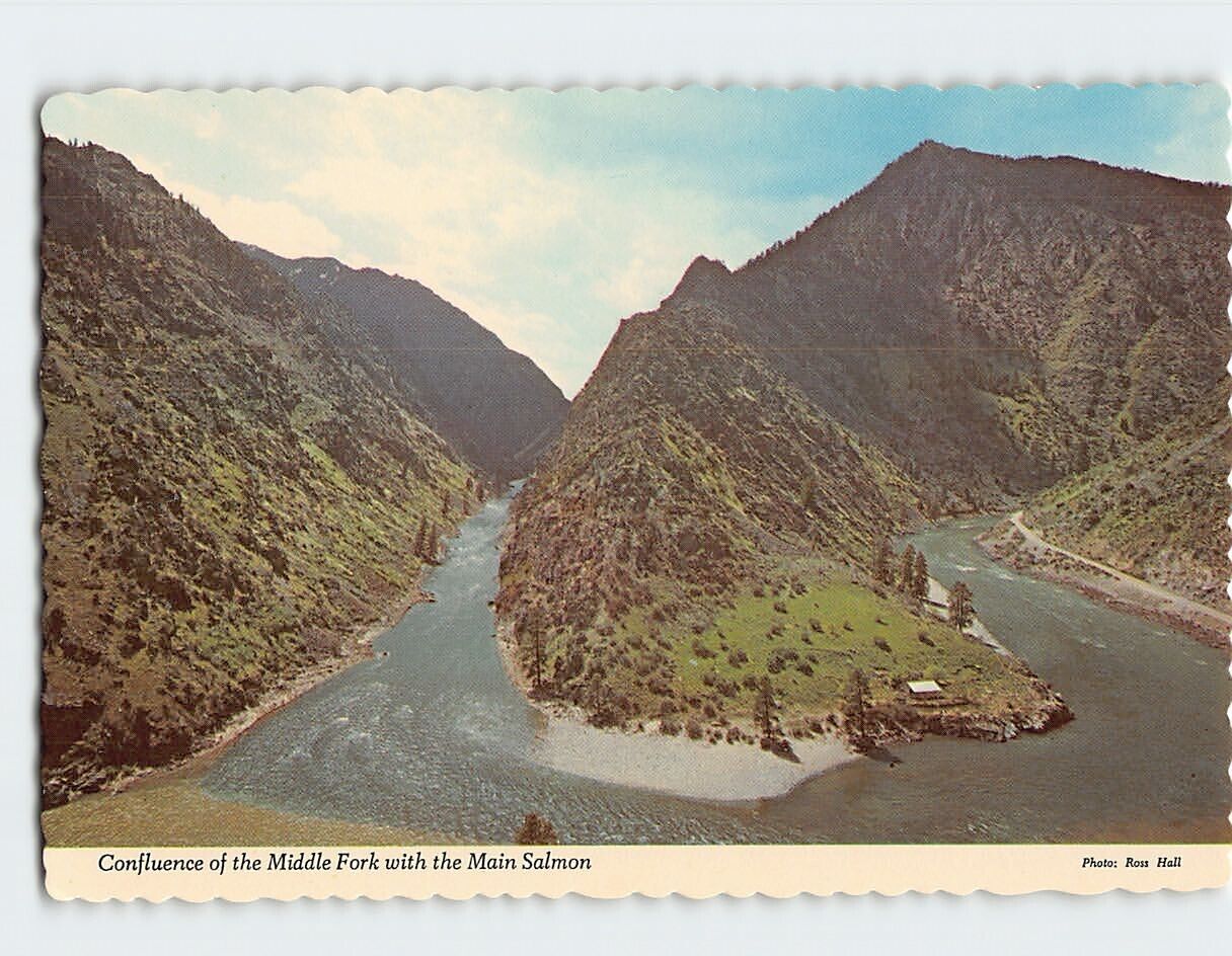 Postcard Confluence of the Middle Fork with the Main Salmon, Idaho