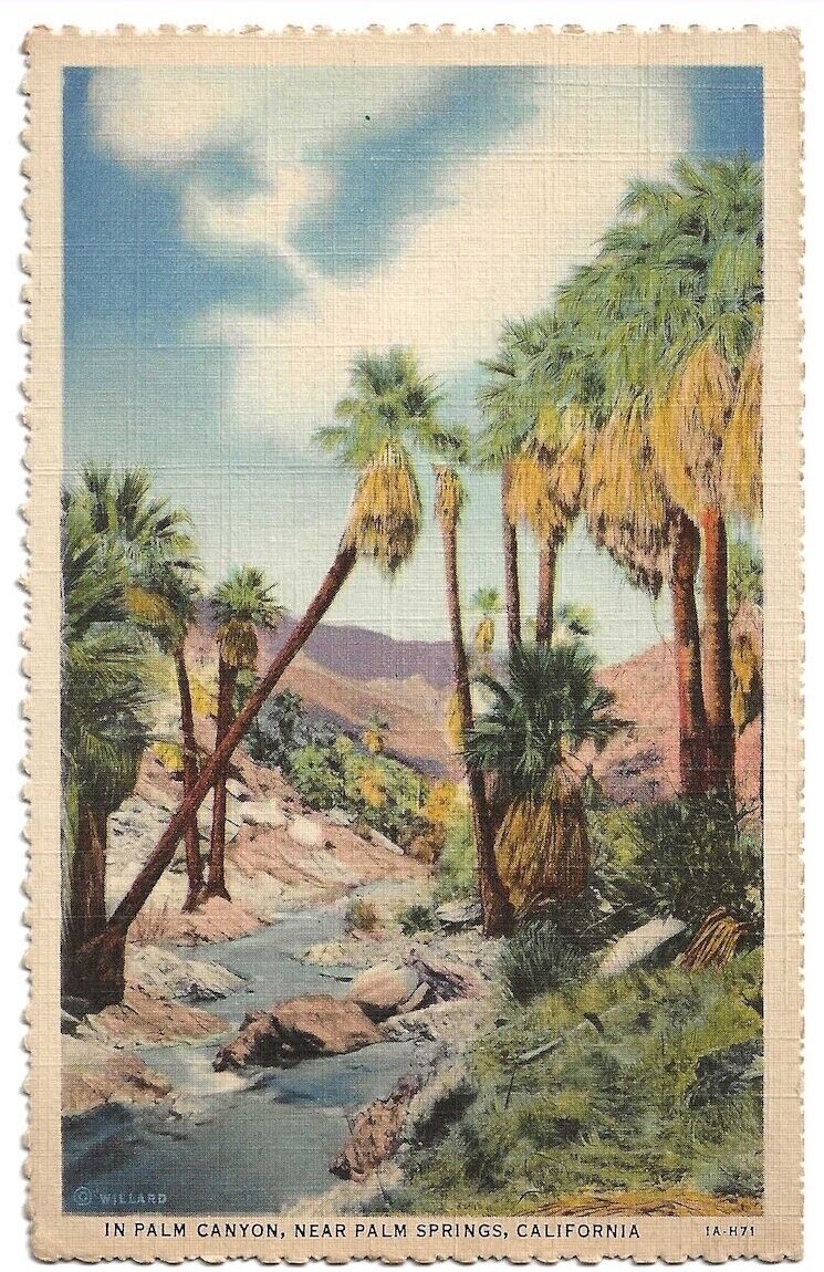 Palm Springs California c1940's Palm Canyon oasis, stream, Palm Trees