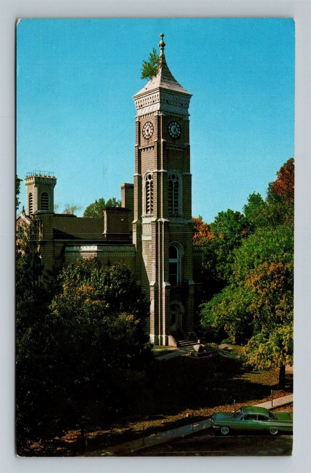 Greensburg IN Tree Growing on top of Court House Tower Unused Indiana Postcard