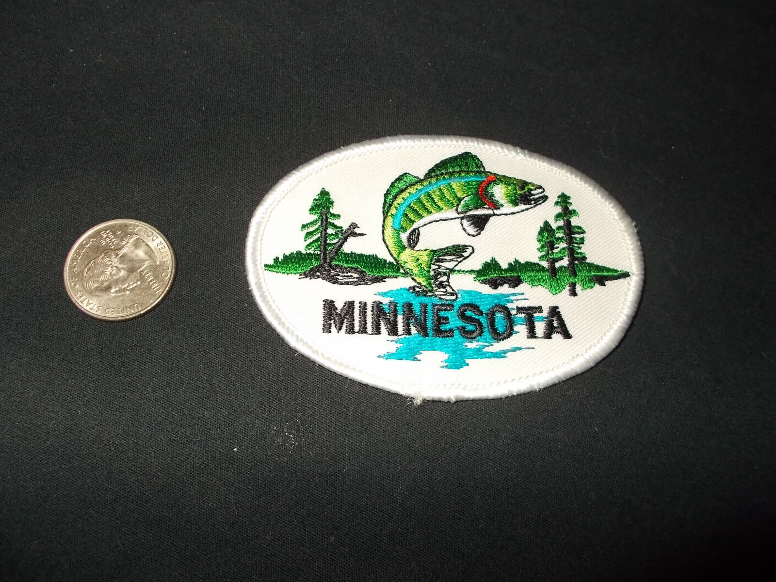 VTG-State of Minnesota Trout Walleye Fish Fishing Scenery Lake hat jacket patch