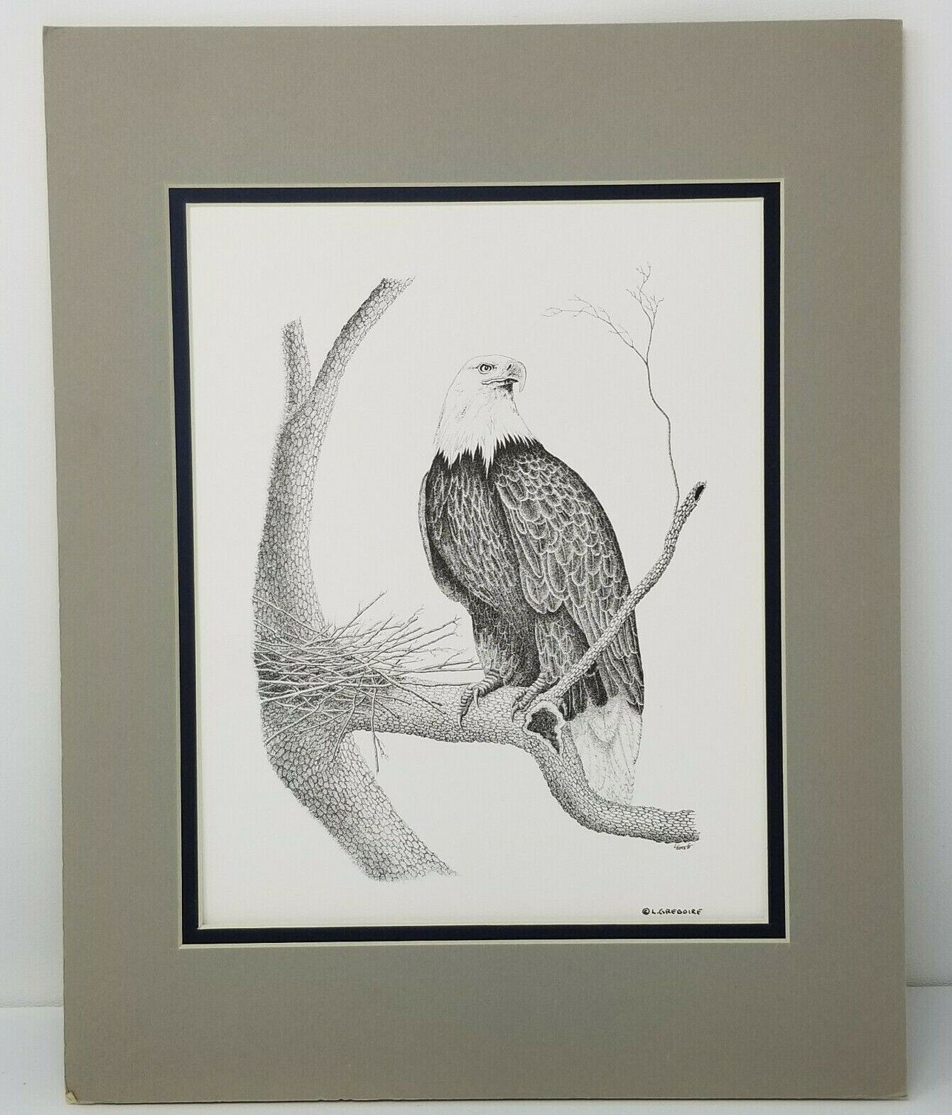 Bald Eagle Guarding Nest On Branch Matted Art Print Louis Gregorie