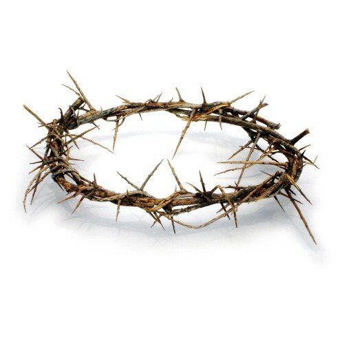 Passion of Christ Crown of Thorns/Authentic Crown of Thorns Comes in Gift Box