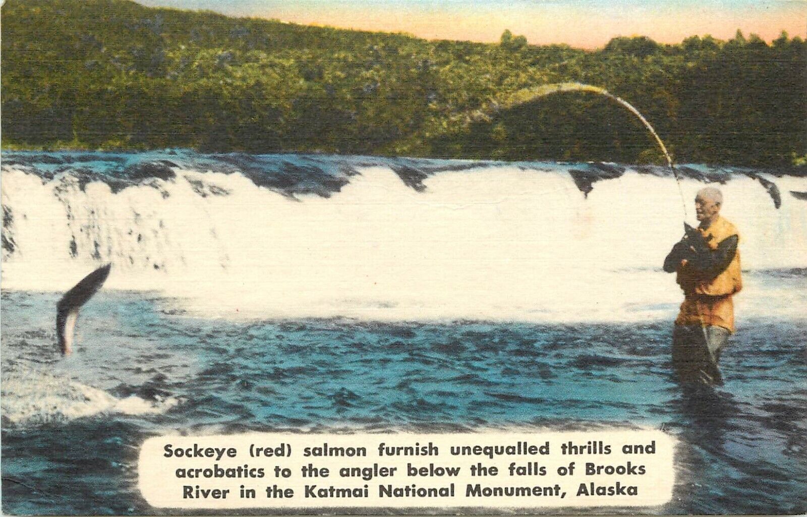 Vintage Postcard Sockeye Salmon Fishing, Brooks River Falls Katmai Nat\'l Mon. AK