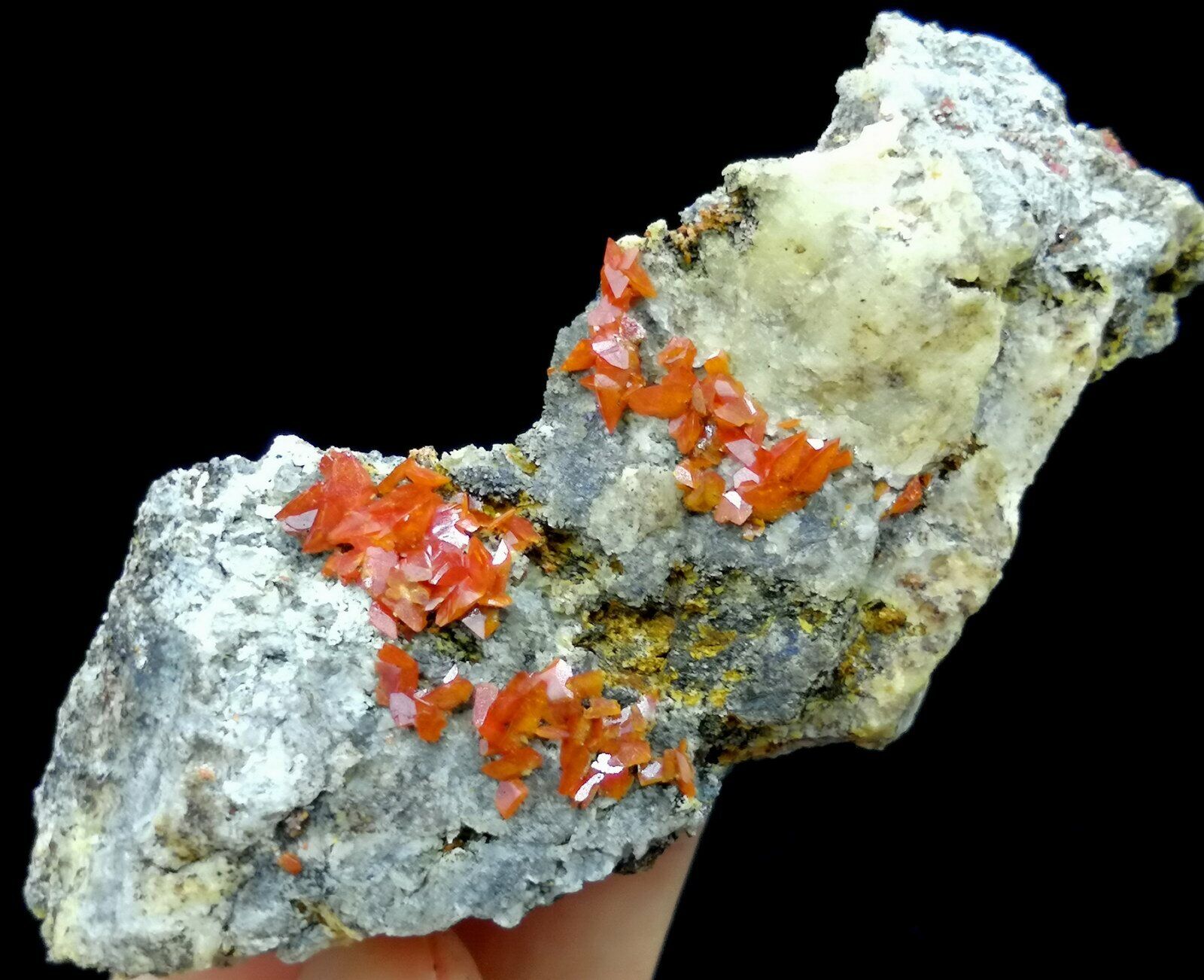 70mm Bright Red Wulfenite Crystal on Matrix (w/ Galena inclusion) China 4212