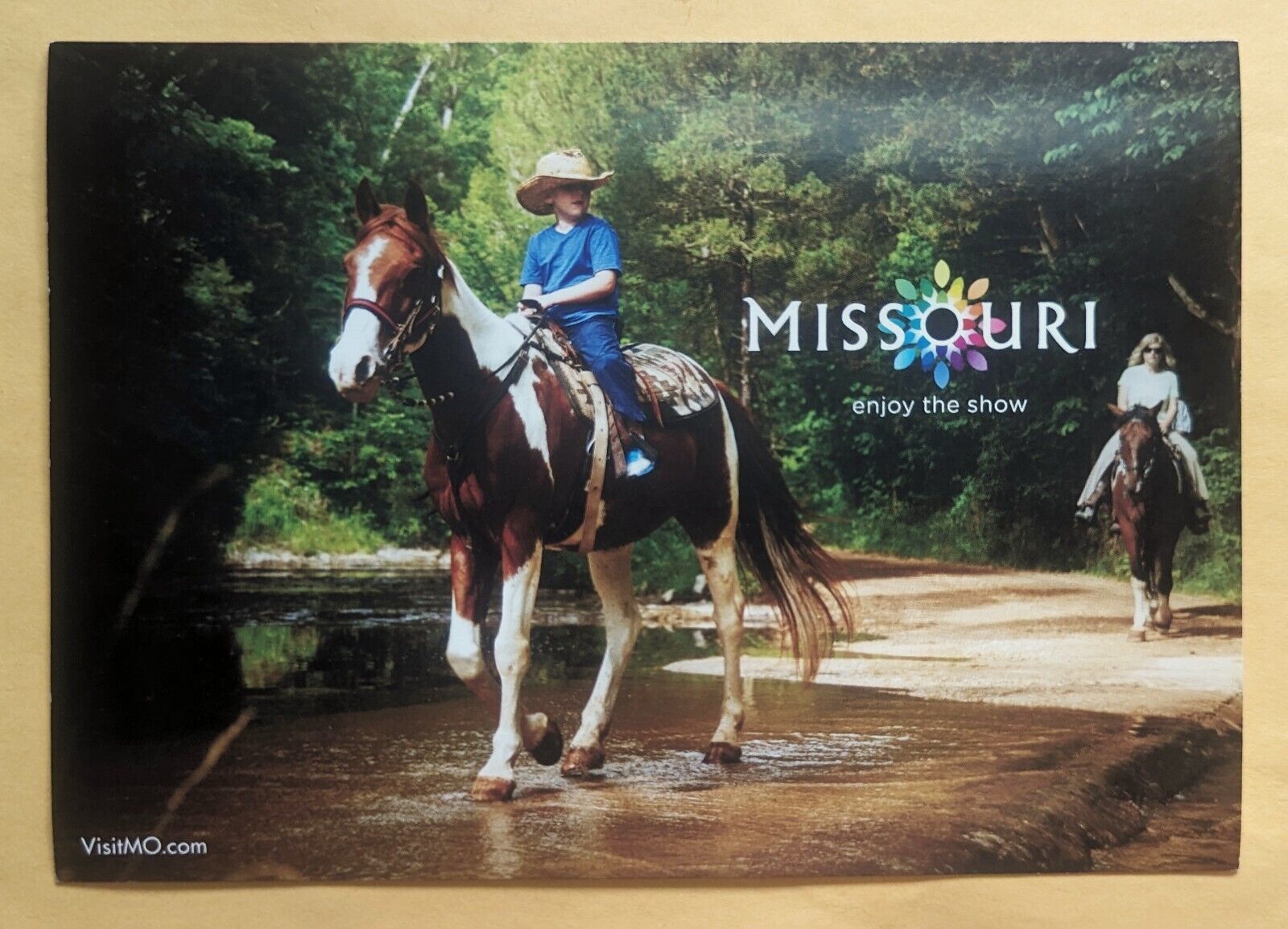 Postcard MO:  Greetings from Missouri ( Horses). MO