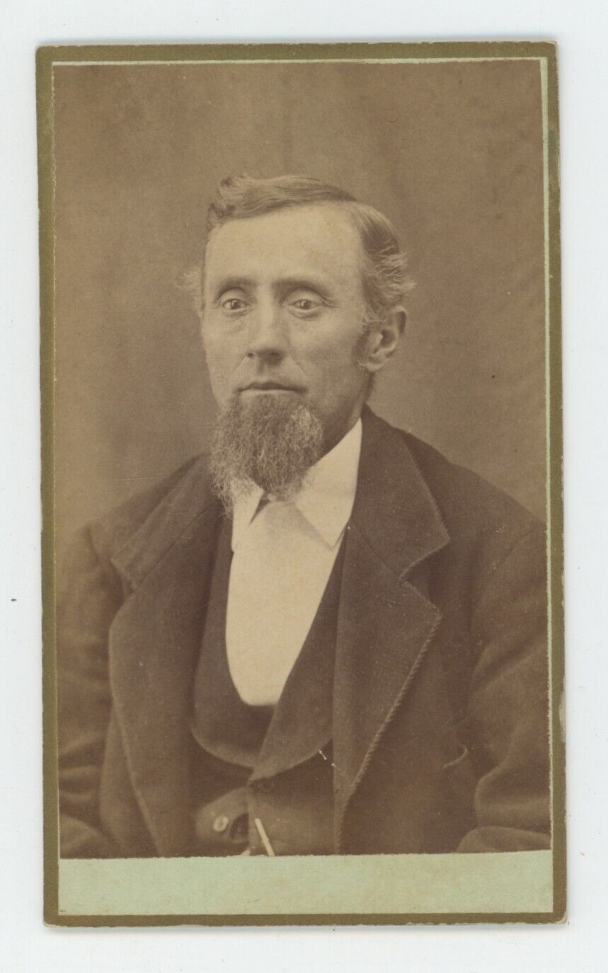 Antique CDV Circa 1870s Handsome Man Chin Beard Green Backing Taylor Oneida, IL