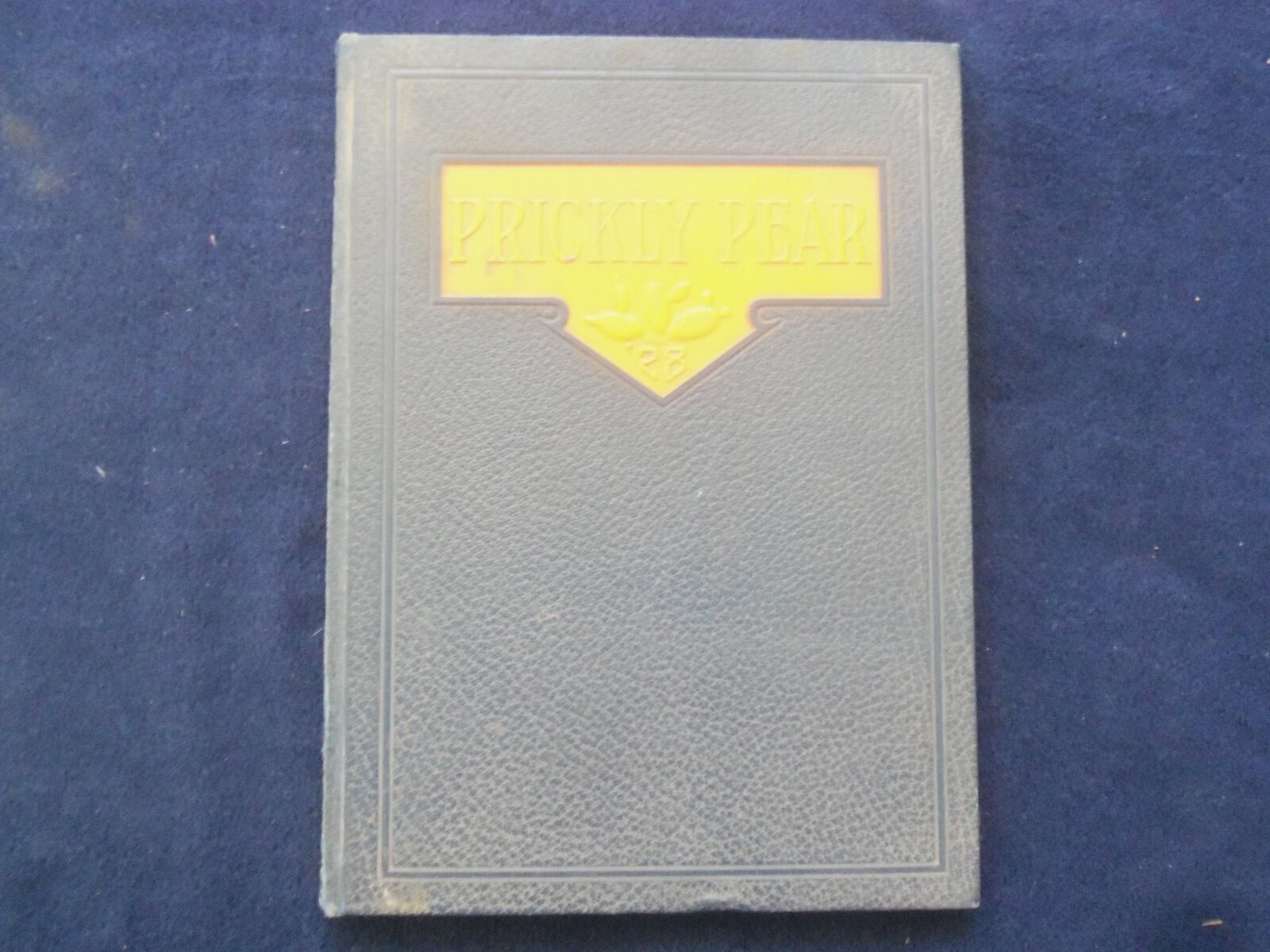 1928 THE PRICKLY PEAR INTERMOUNTAIN UNION COLLEGE YEARBOOK -HELENA, MT - YB 3116