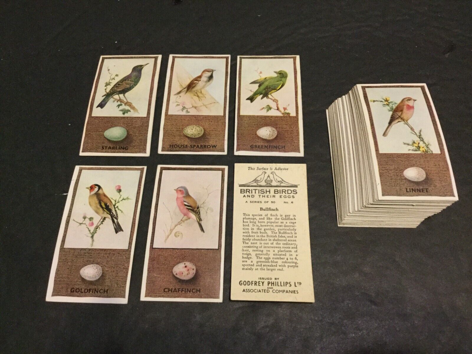 1936 Phillips British Birds & Their Eggs Set of 50 Cigarette Cards Sku965N