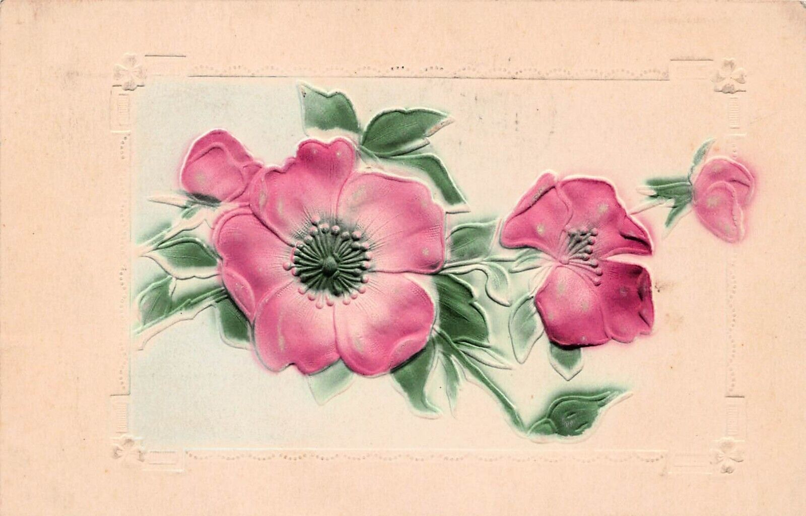 Prickly Wild Arctic Rose Pink Flowers Faux Frame Alliance Ohio Vtg Postcard A35