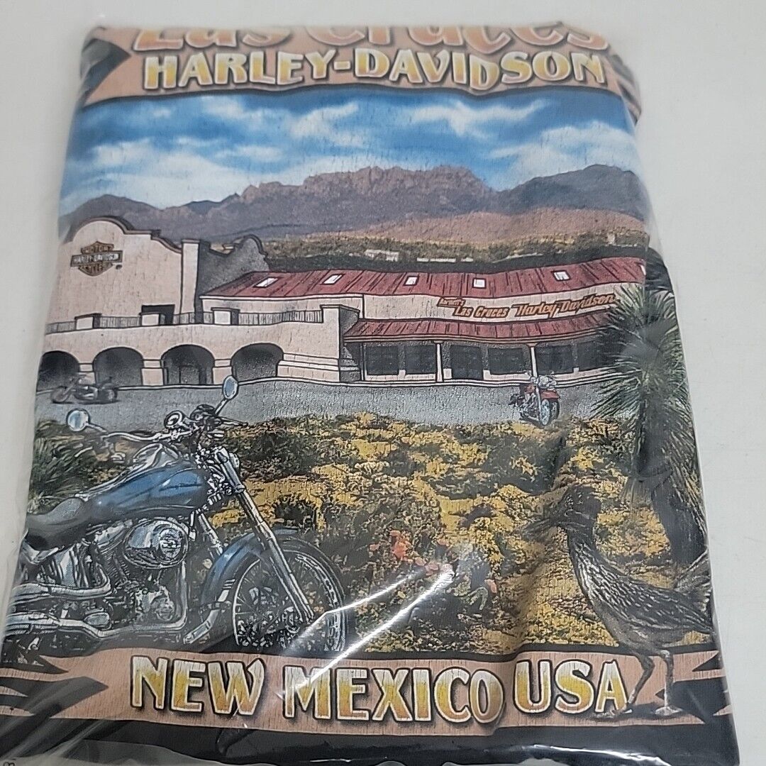 Harley Davidson T Shirt Mens Size XL Las Cruces New Mexico  Skull Double-Sided 