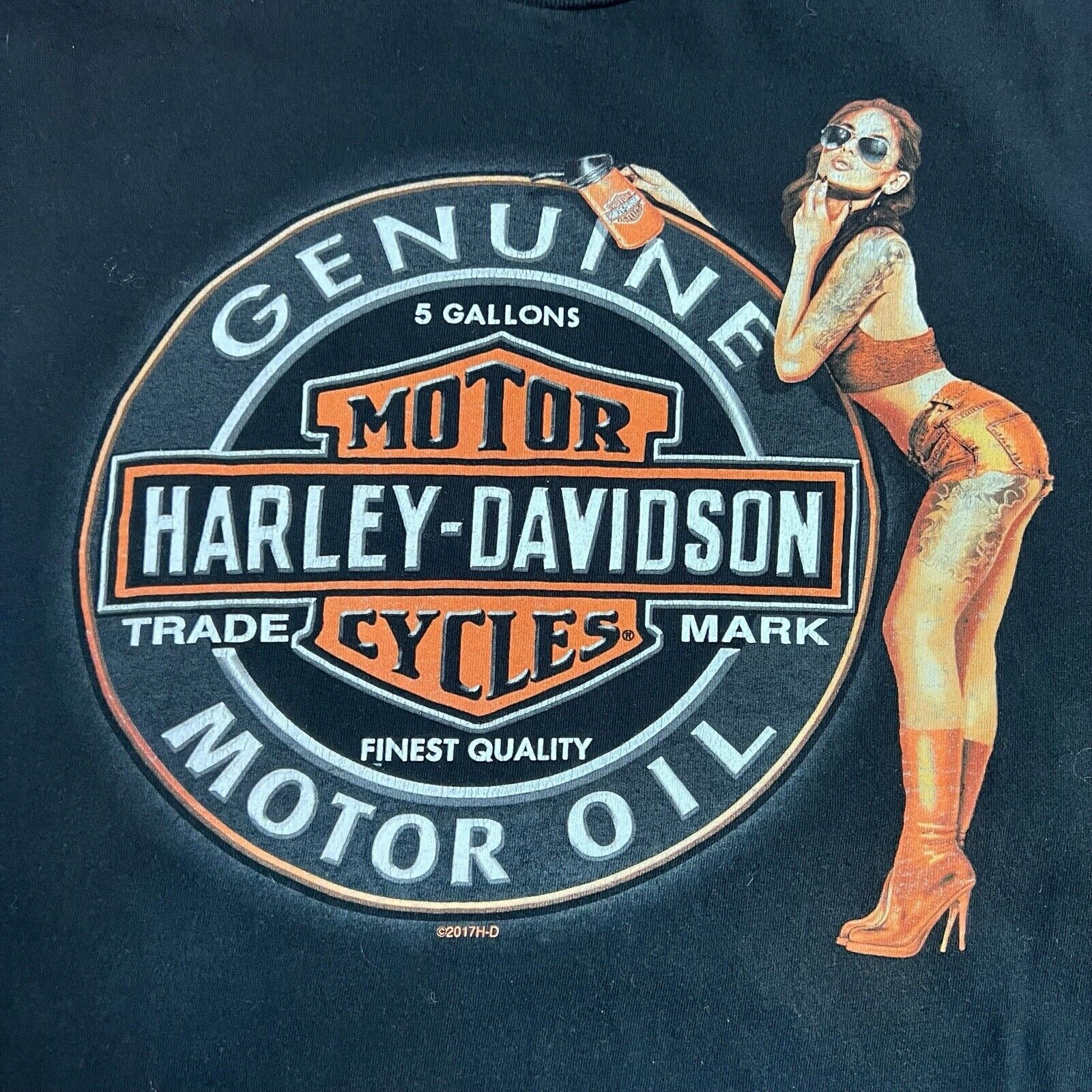Harley Davidson T Shirt Black Flaming Gorge Wyoming Motorcycles Girl Skulls Lg
