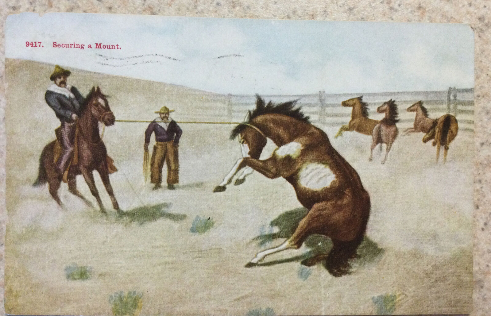 Antique Cowboy Postcard 1912 Cowboys w Horses ~ Securing a Mount