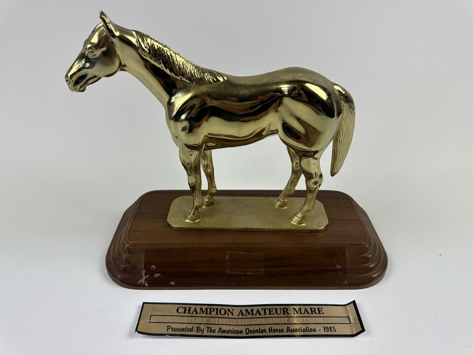 Vintage AQHA America Quarter Horse Trophy Champion Amateur Mare 1985 Montana