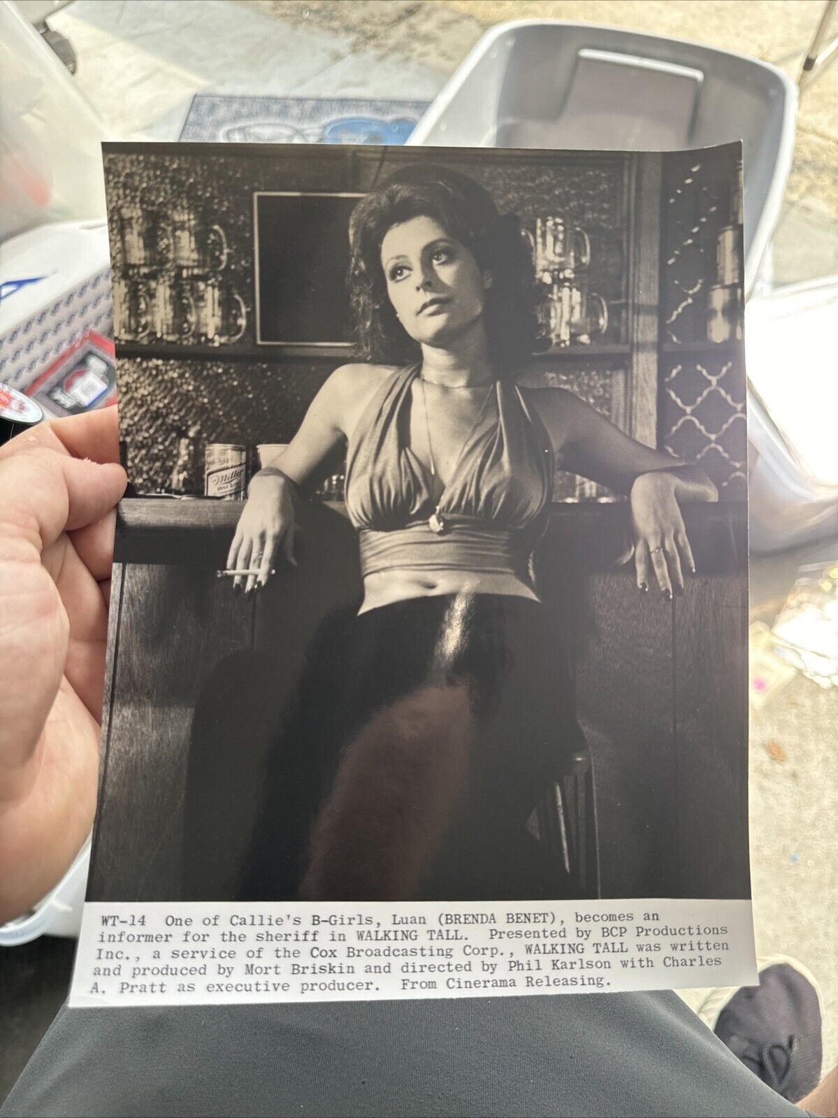 1973 Press Photo Brenda Benet stars in \
