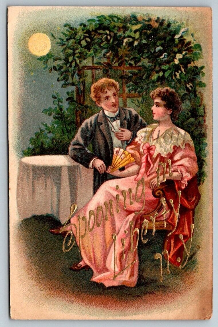 1908  Spooning in  Liberty  New York  Postcard