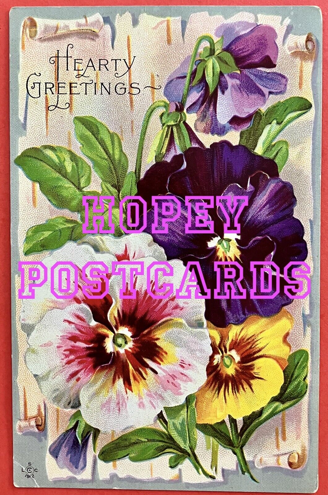 Antique PANSY HEARTY GREETINGS postcard~glossy, bright colors~unused 1907-1914  
