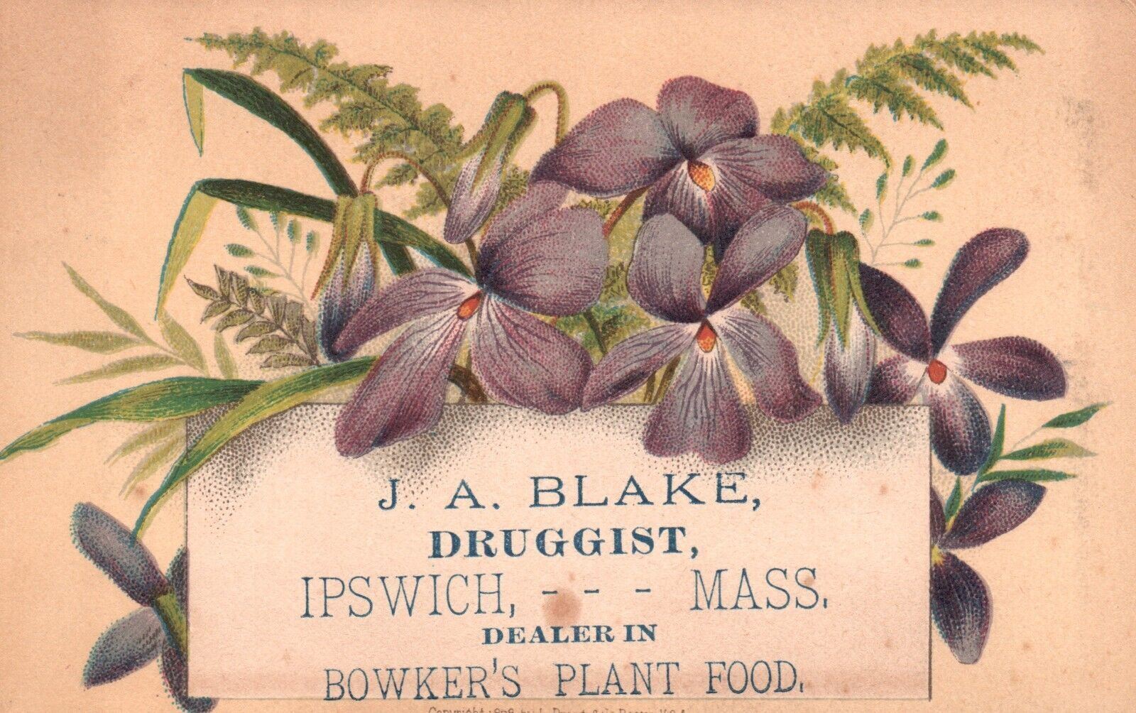 1880s-90s Purple Flowers JA Blake Druggist Ipswich MA Bowker\'s Plant Trade Card