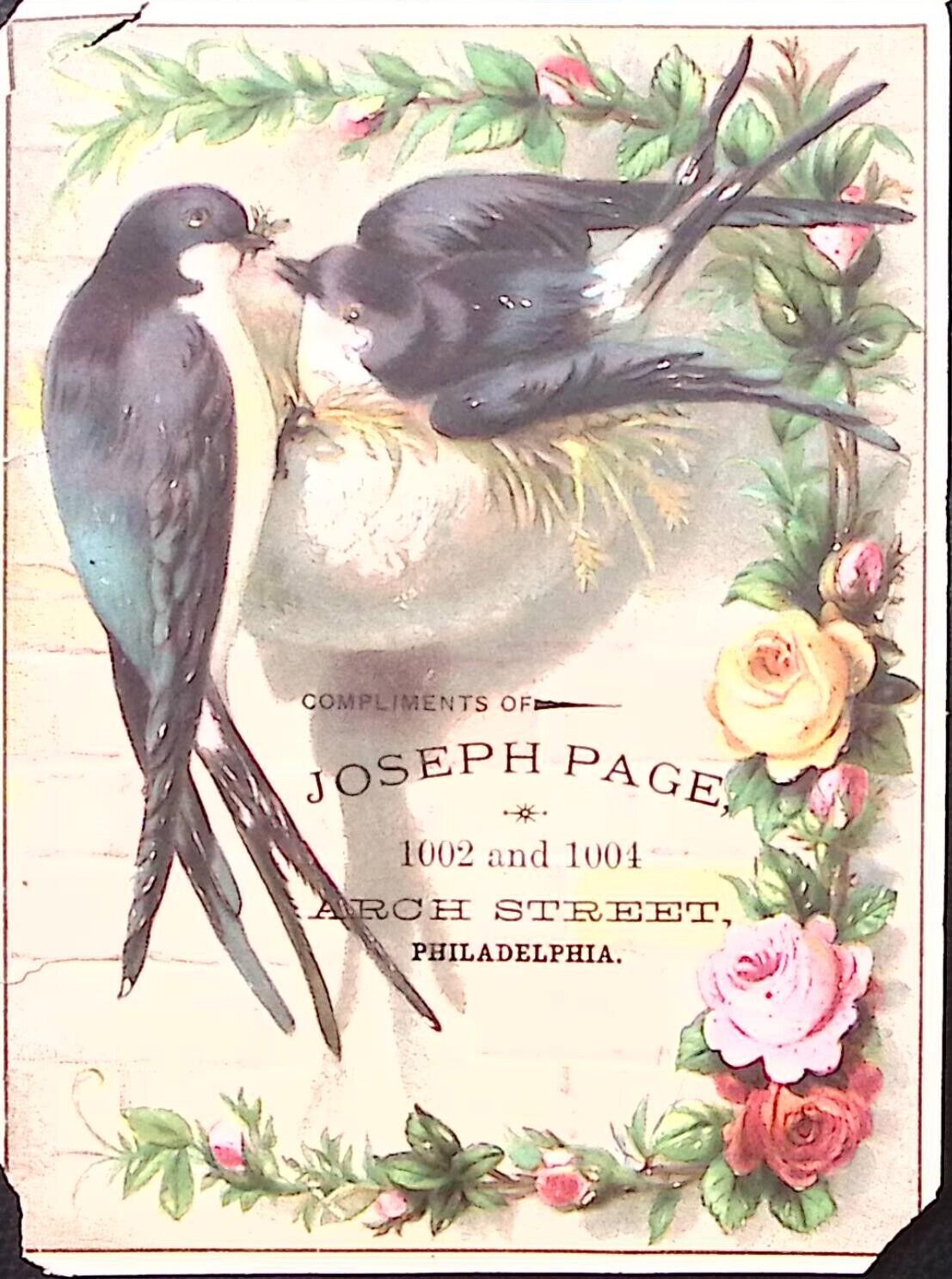 c1880 PHILADELPHIA PA JOSEPH PAGE EMBOSSED BIRDS VICTORIAN TRADE CARD P4409