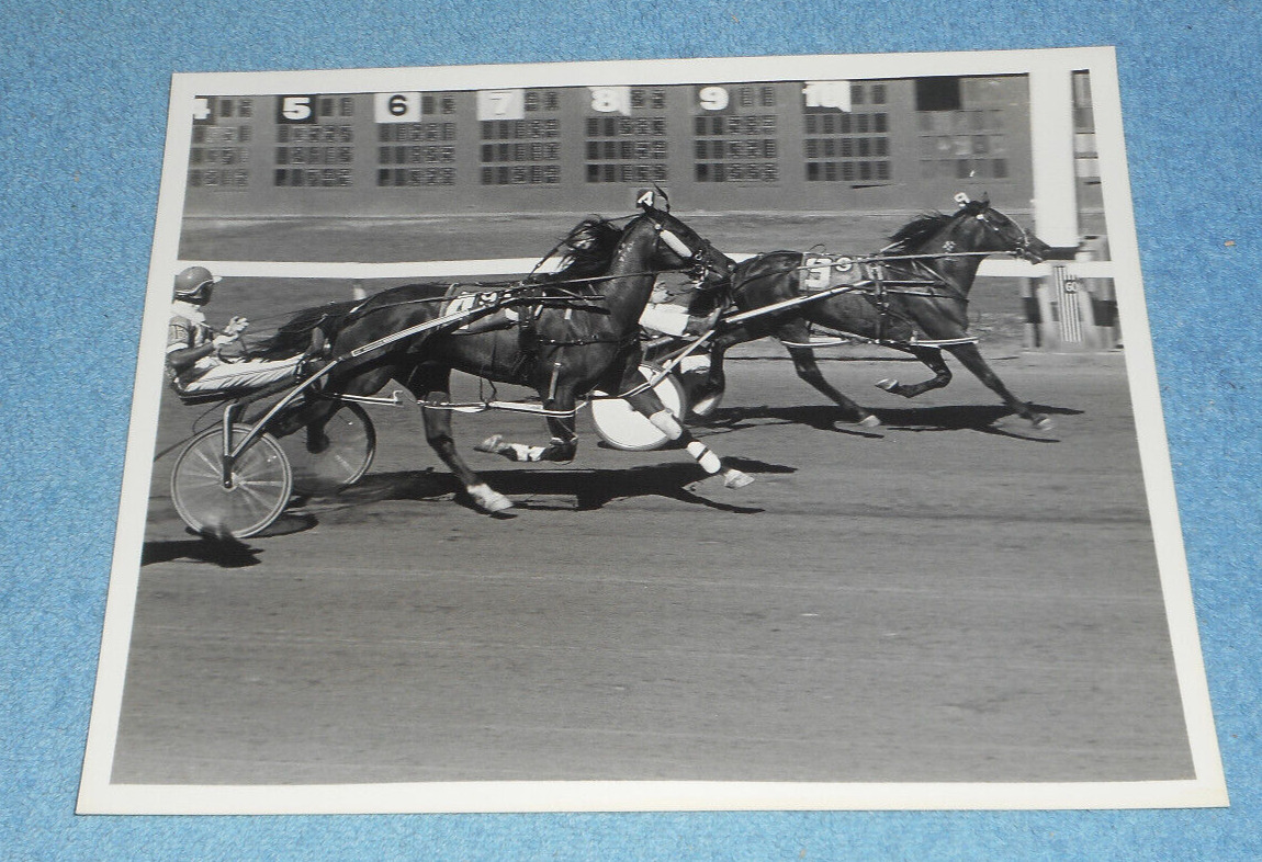 1980 Harness Racing Press Photo Horse \