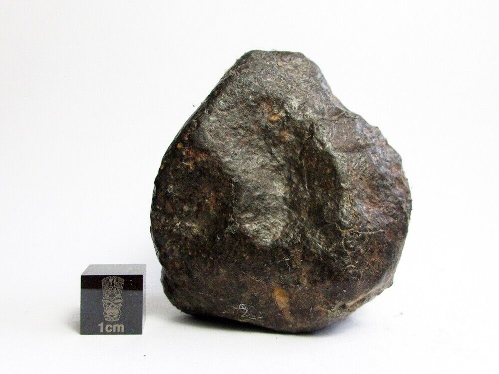 NWA x Meteorite 142.32g Fabulously Flightmarked Firestone From Space