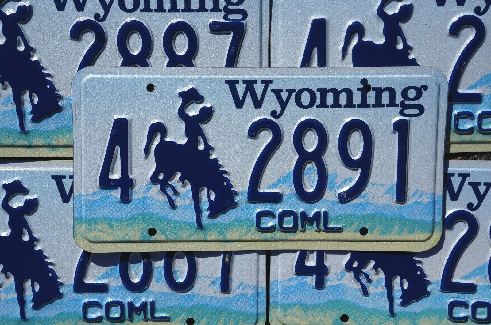 ONE or MORE Embossed WYOMING License Plate Plates - Nice Quality Original
