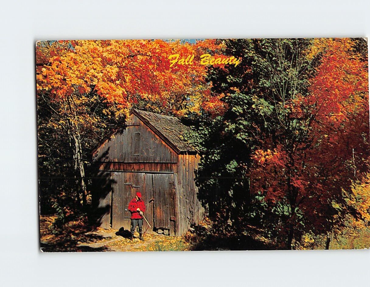 Postcard Fall Beauty Greetings from Halcott Center New York USA