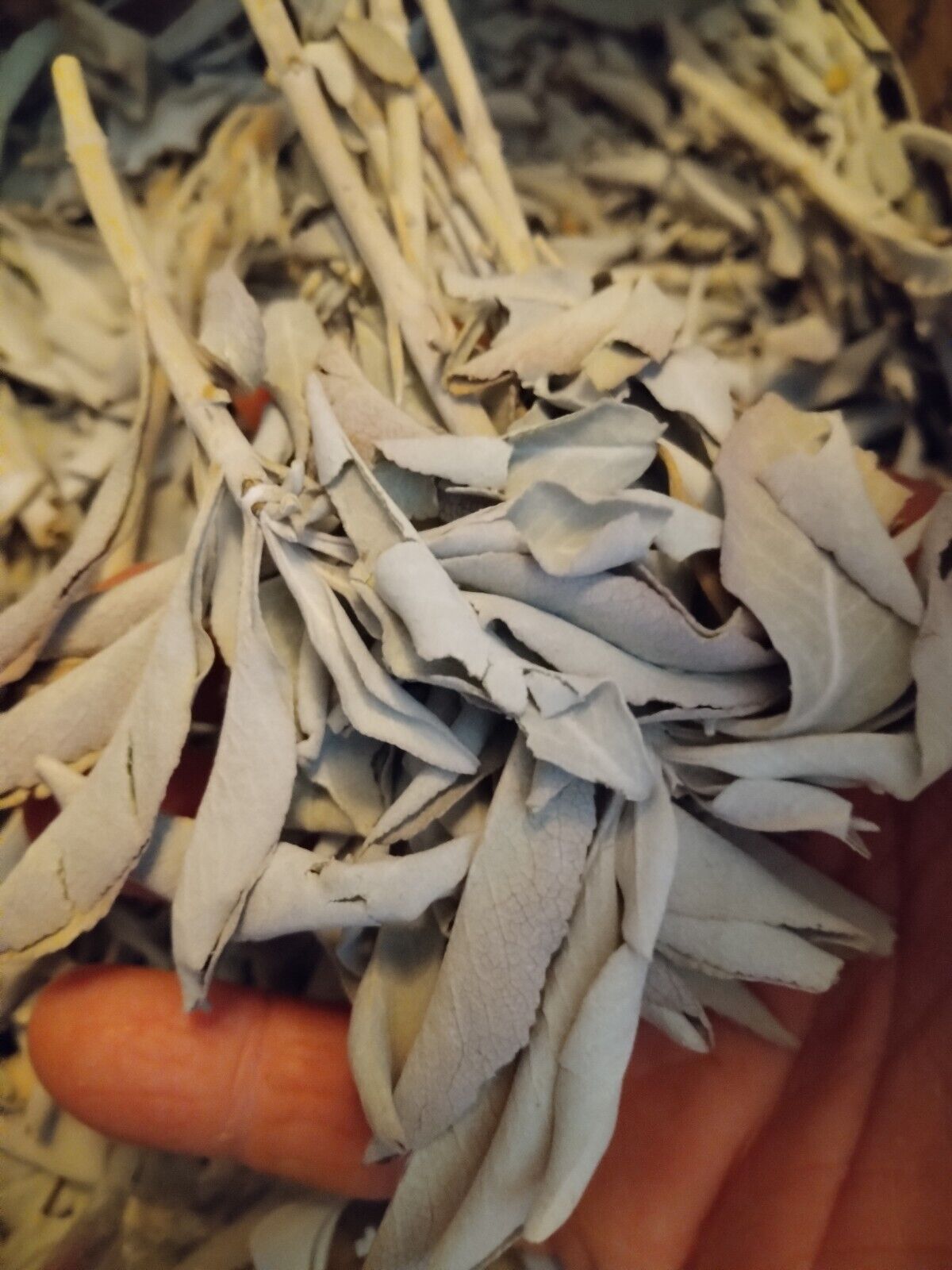 **AWESOME NATIVE AMERICAN WHITE SAGE FOR SMUDGING ONE QUART STARTER PACK **