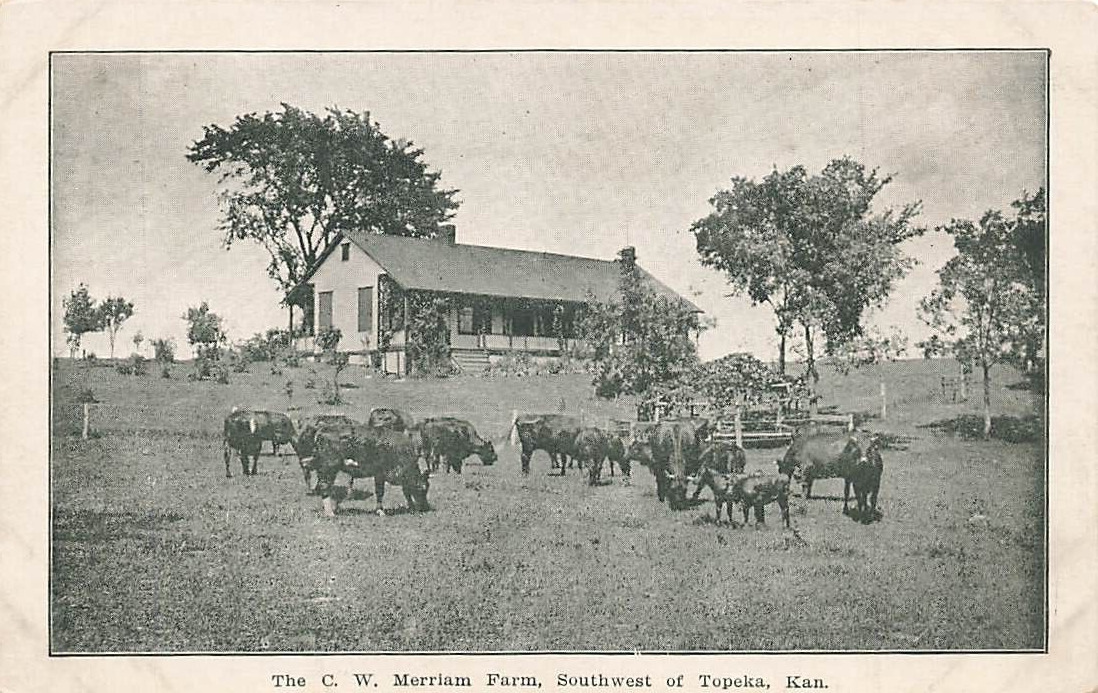 Vintage C W Merriam Farm House Cattle Southwest of Topeka  Kansas KS P570 X