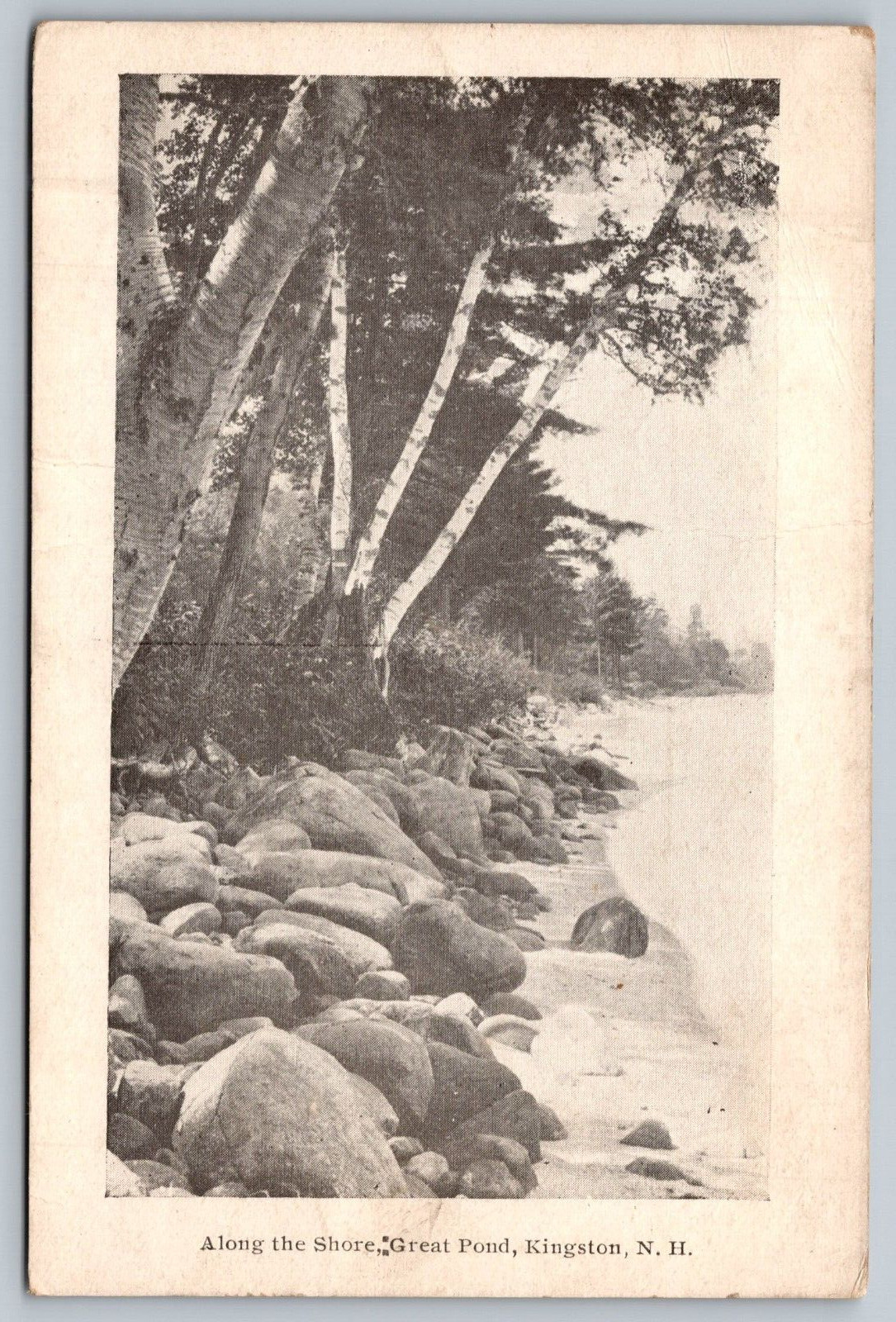 Along the Shore Lake Sunapee New Hampshire NH UNP DB Postcard